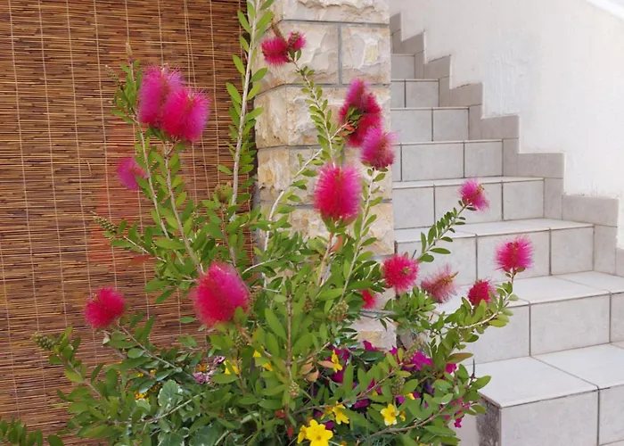 Appartement Rumora Ivan