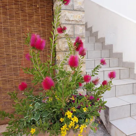 Appartement Rumora Ivan